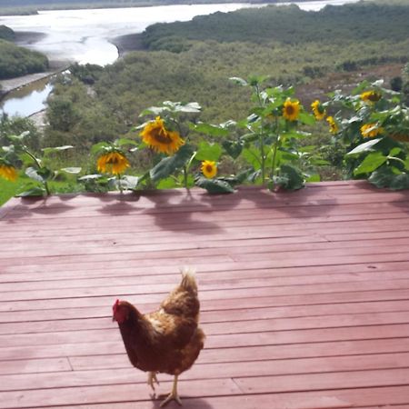 Taranaki 호텔 Waihaha 외부 사진