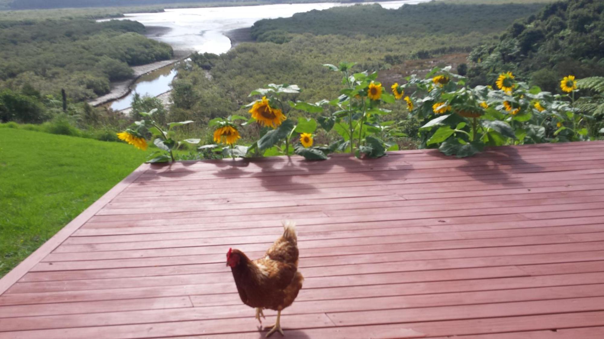 Taranaki 호텔 Waihaha 외부 사진